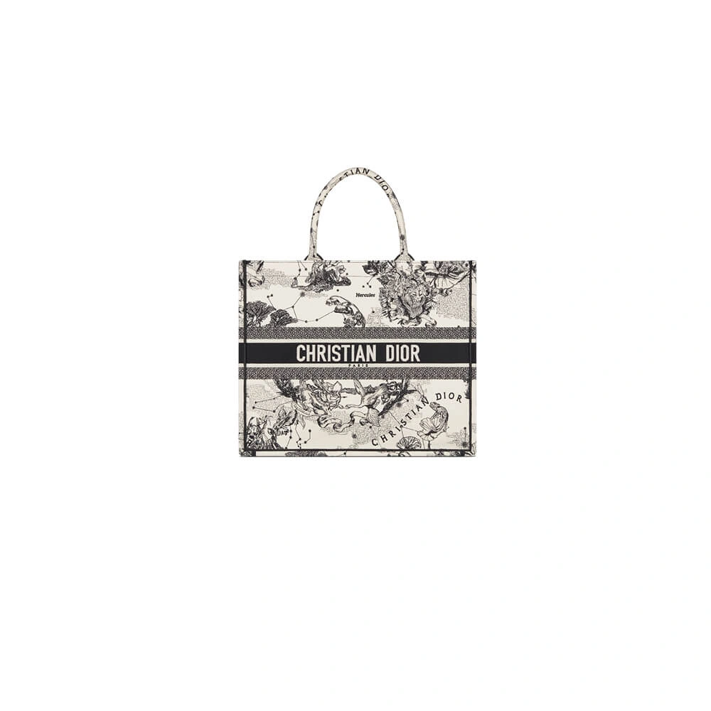 LARGE DIOR BOOK TOTE Bold 2324