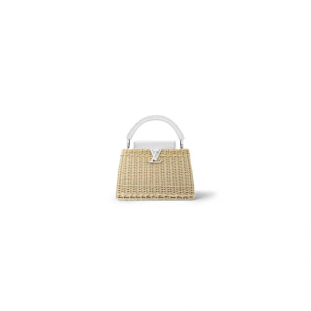 FashionForward LV Capucines BB(HIGH-END GRADE) 79