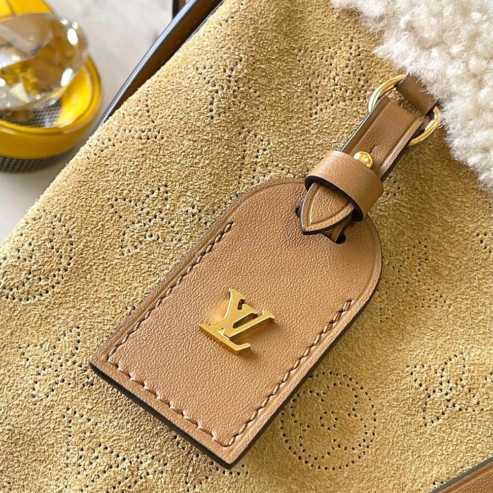 LV CarryAll PM EasyMatch 453