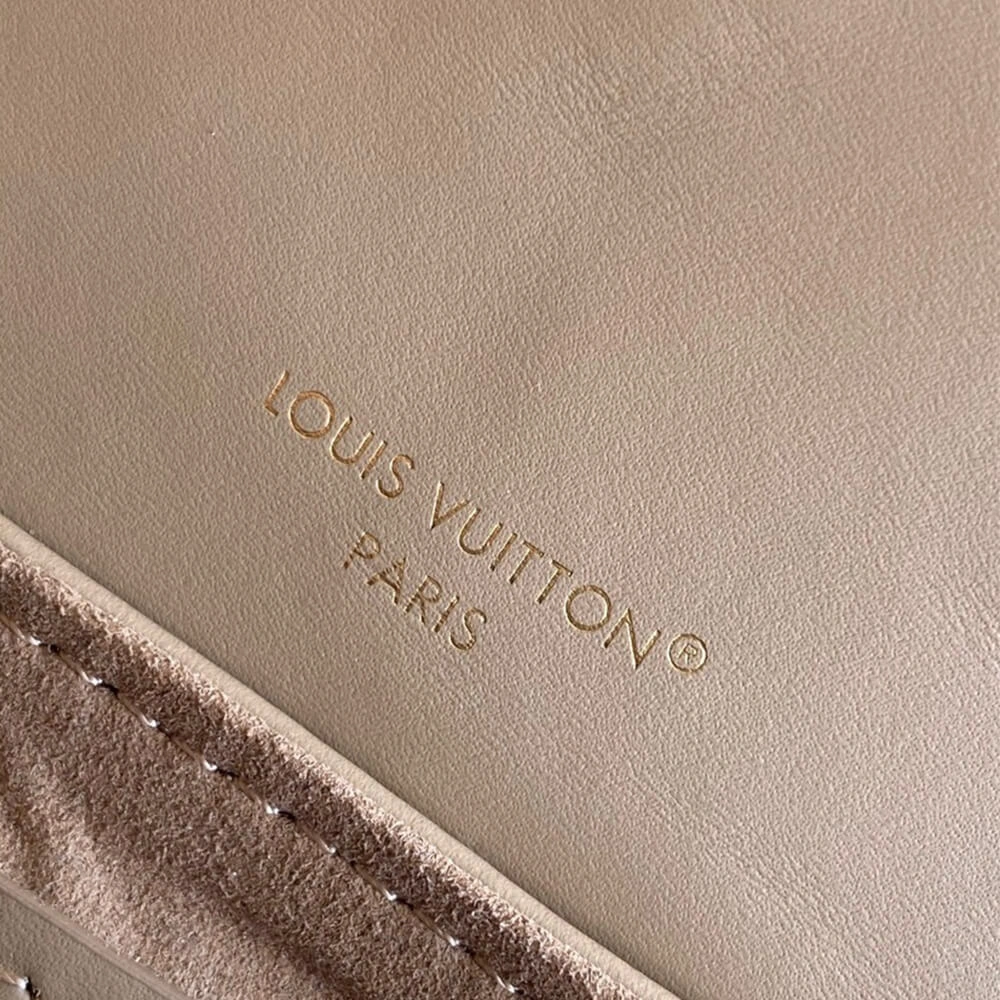 LV Coussin Backpack Mini Thermal 416