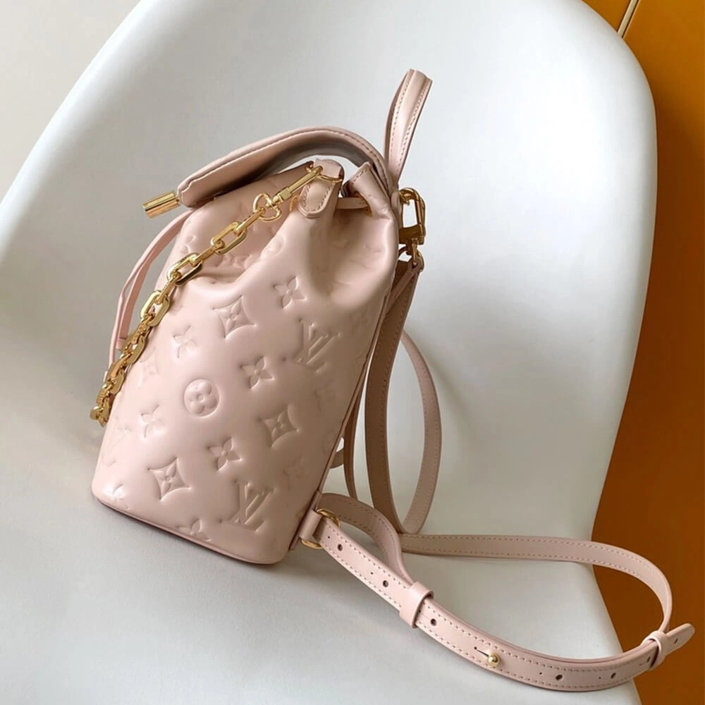 DailyWear LV Coussin Backpack PM 307
