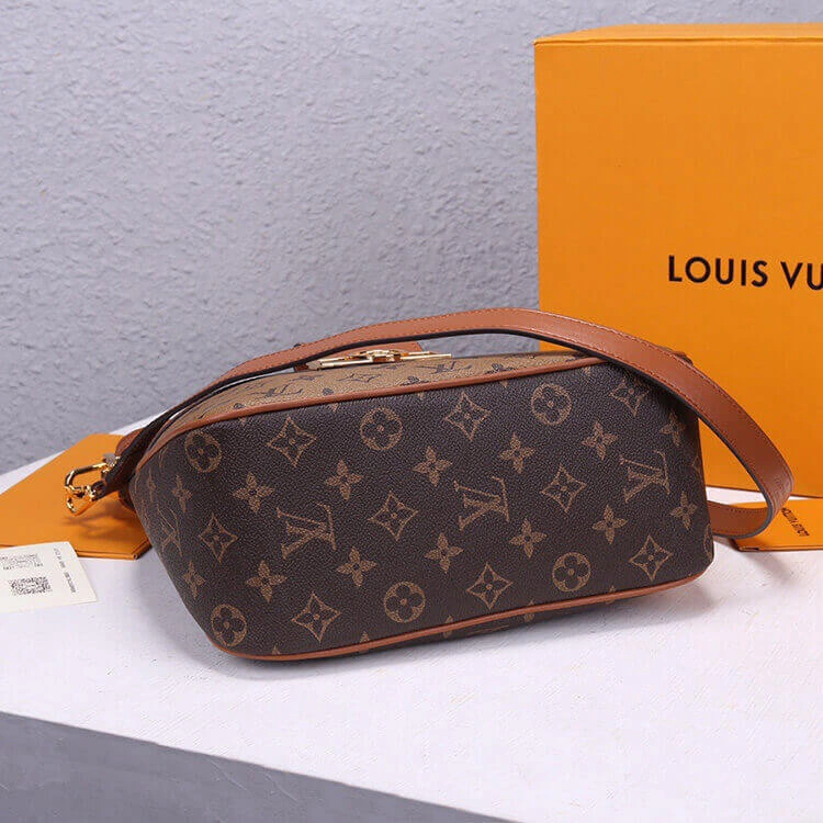 LV Hobo Dauphine PM Handbag Upgraded 849