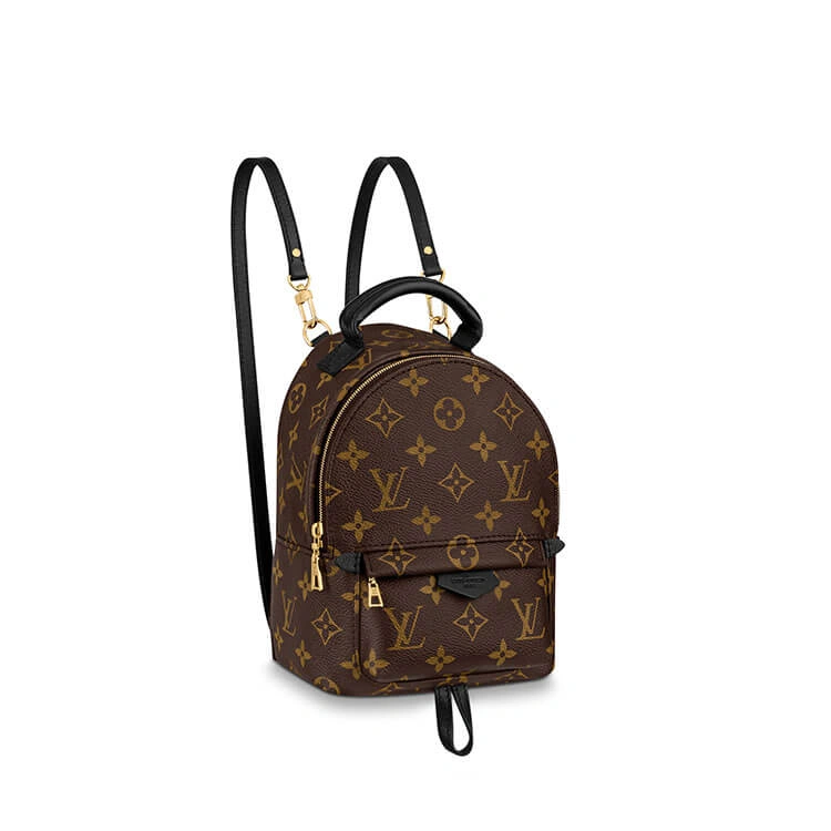 LV Palm Springs Mini Backpack FastDry 843