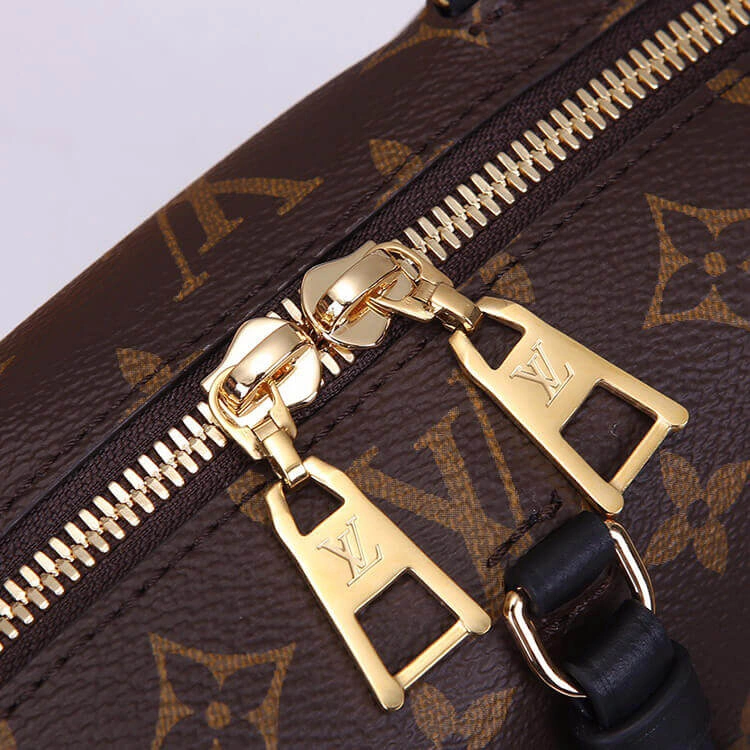 LV Petite Malle Souple Handbag Reliable 891