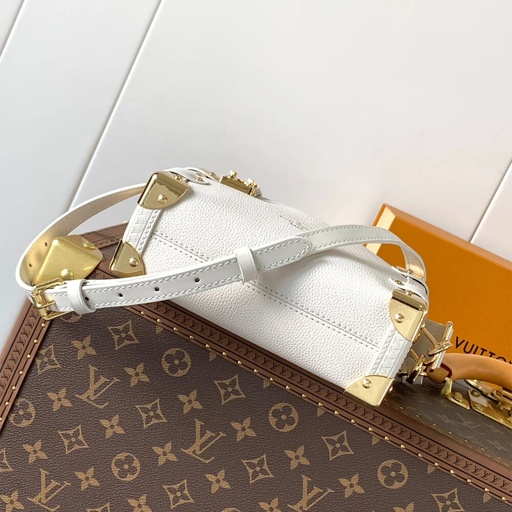 LV Side Trunk PM(HIGH-END GRADE) Vibrant 341