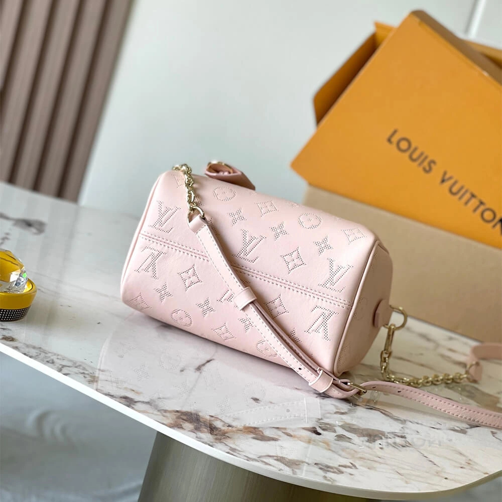 LV Speedy Bandoulière 20(high-end grade) EyeCatching 394