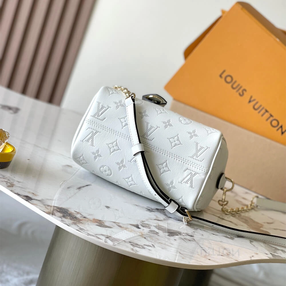 GoAnywhere LV Speedy Bandoulière 20(high-end grade) 387