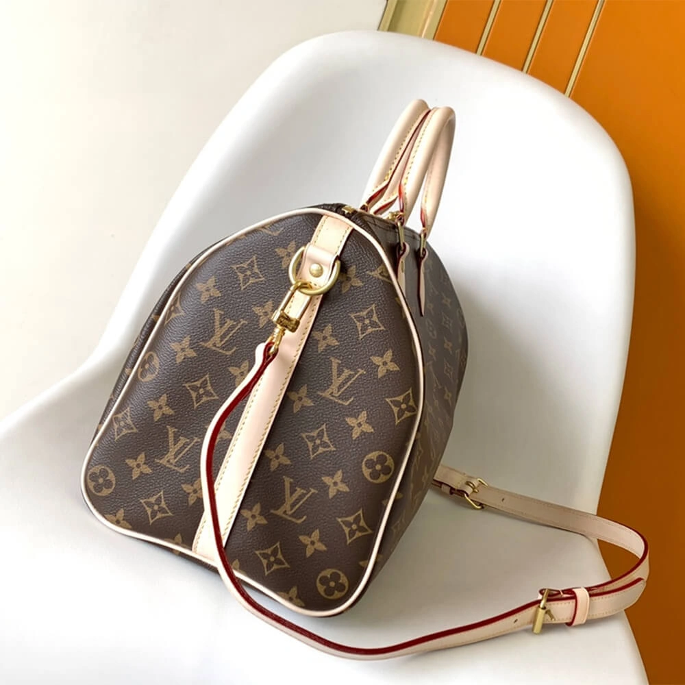 LV Speedy Bandoulière Timeless 360