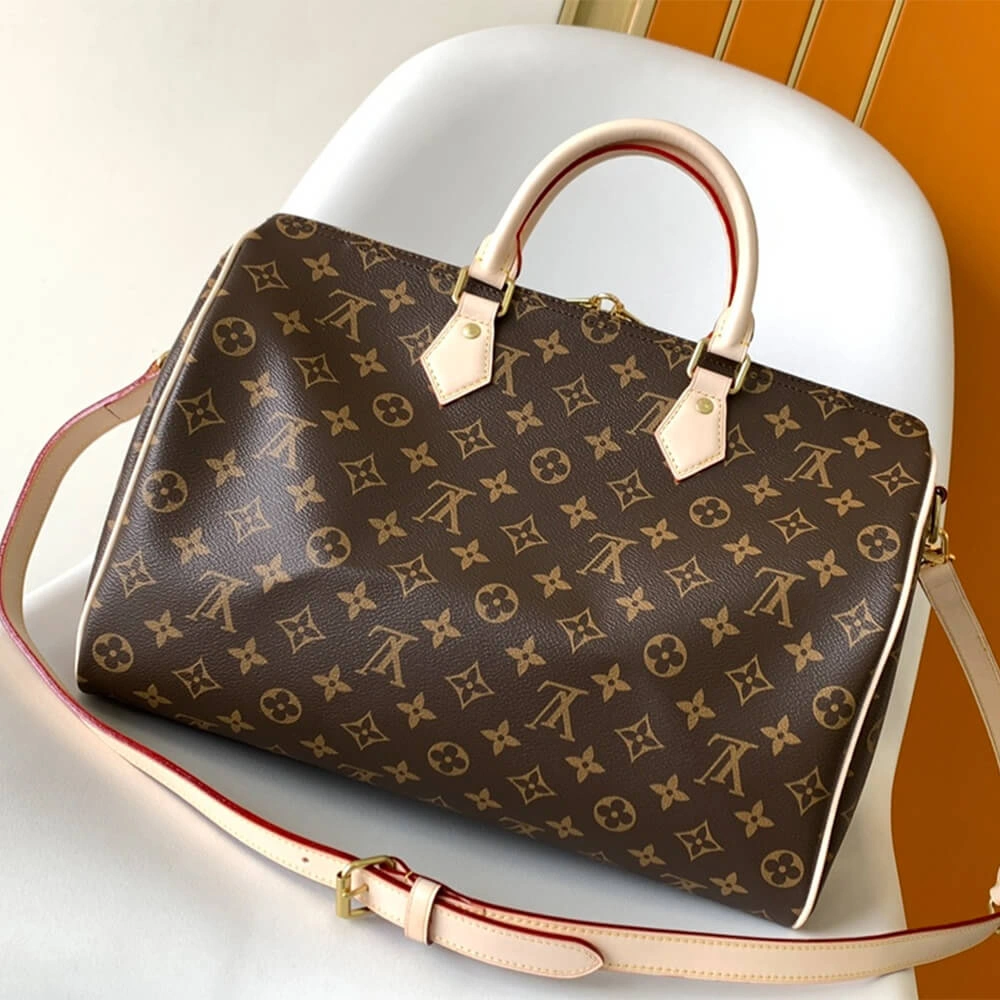 LV Speedy Bandoulière Timeless 360