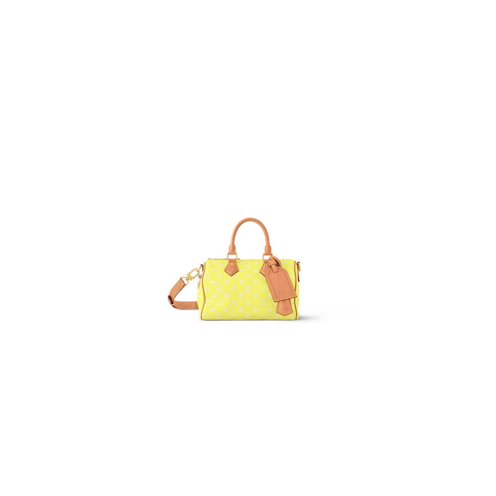 AllSeason LV Speedy P9 Bandoulière 25(HIGH-END GRADE) 289