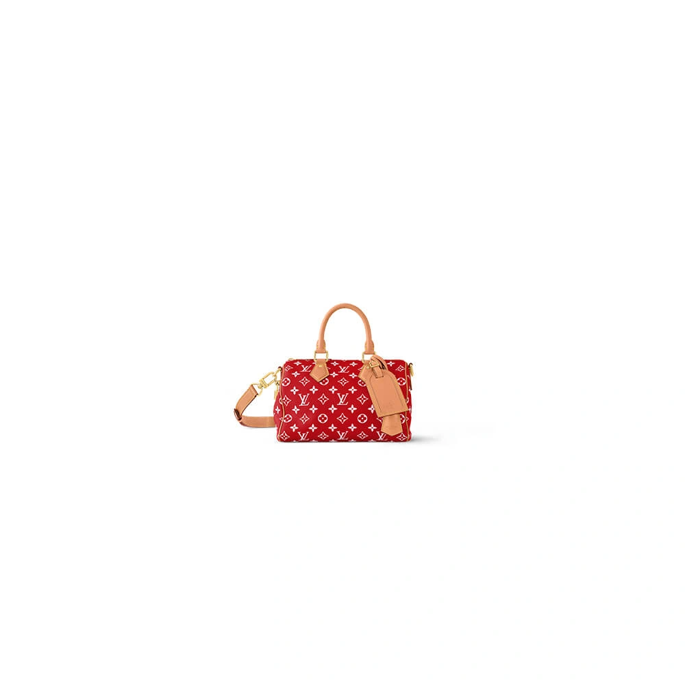 Bold LV Speedy P9 Bandoulière 25(HIGH-END GRADE) 264