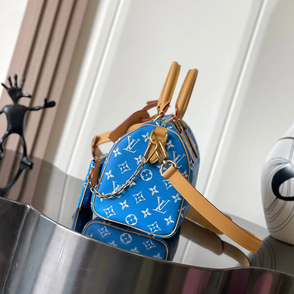 LV Speedy P9 Bandoulière 25(HIGH-END GRADE) Comfortable 312