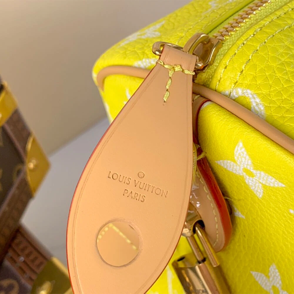 AllSeason LV Speedy P9 Bandoulière 25(HIGH-END GRADE) 289