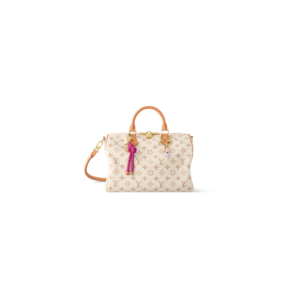 LV Speedy  30 Lucky(HIGH-END) Stylish 153