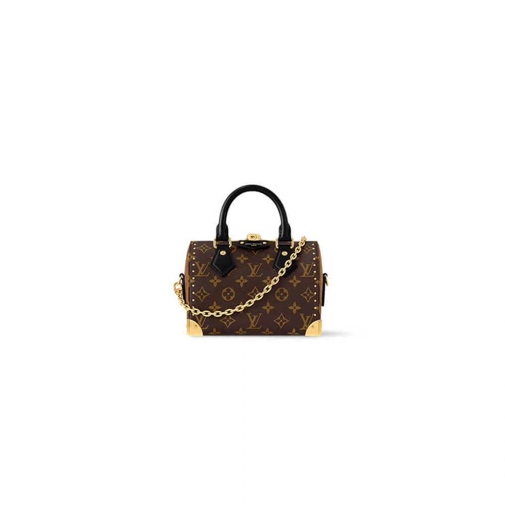 LV Speedy Trunk Chic 386