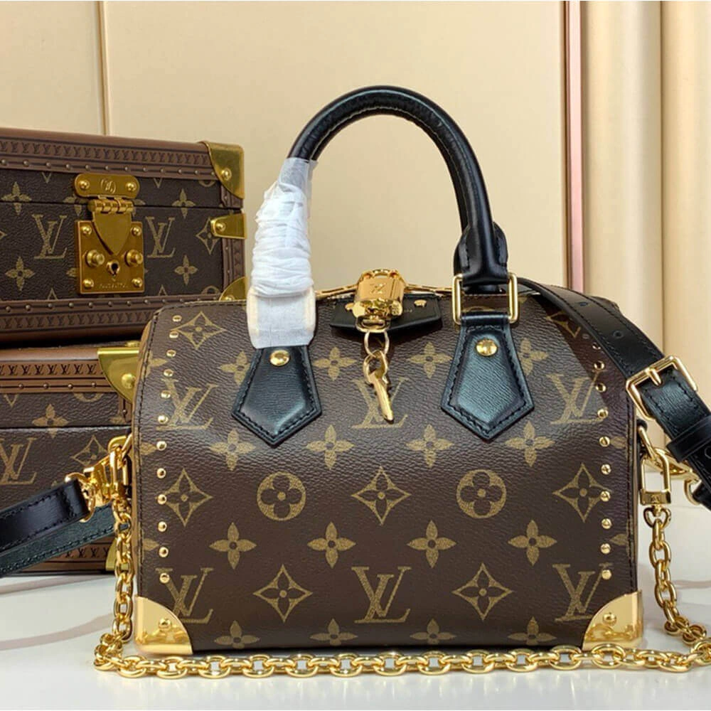 LV Speedy Trunk Chic 386