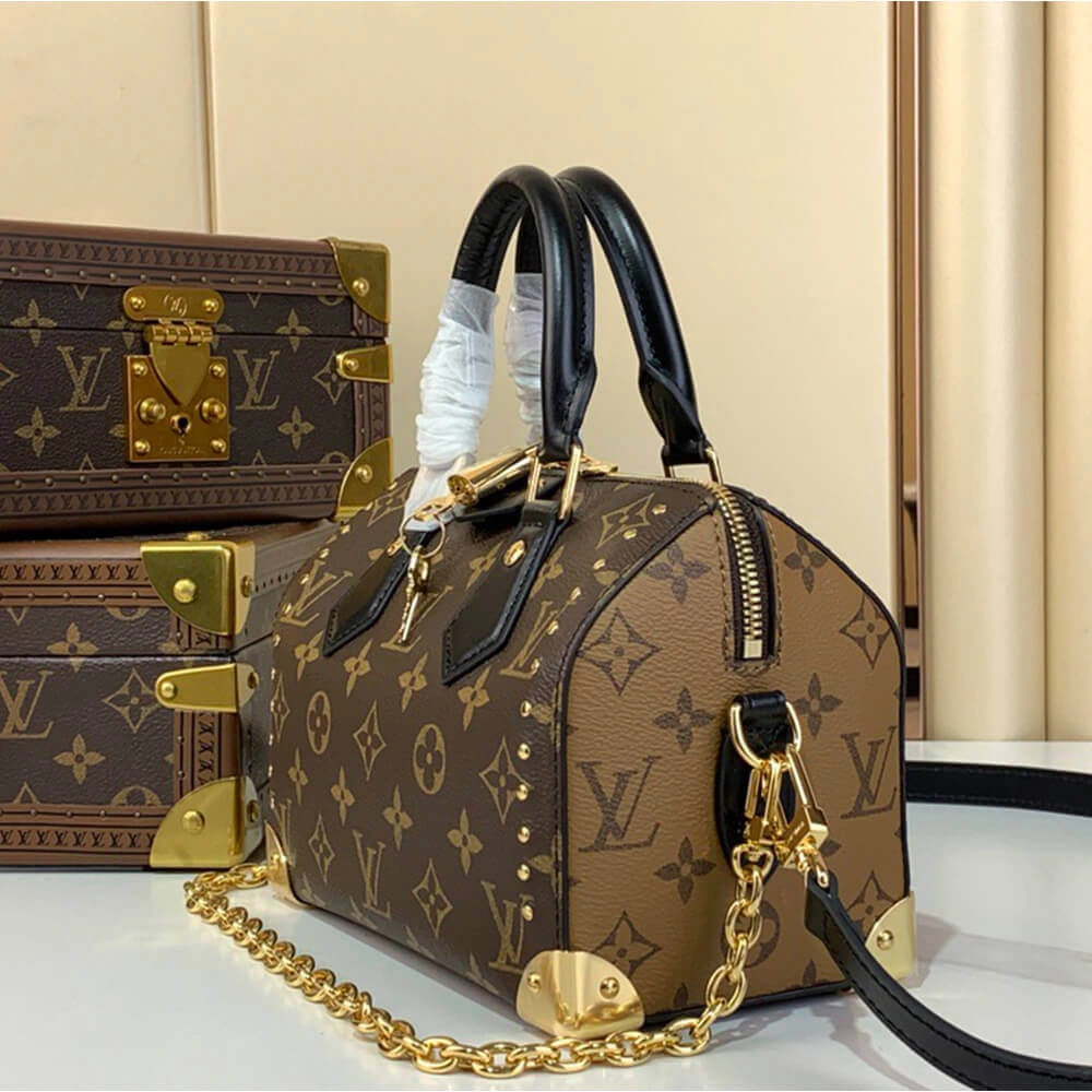 LV Speedy Trunk Chic 386