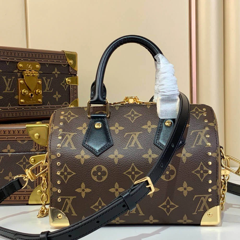 LV Speedy Trunk Chic 386