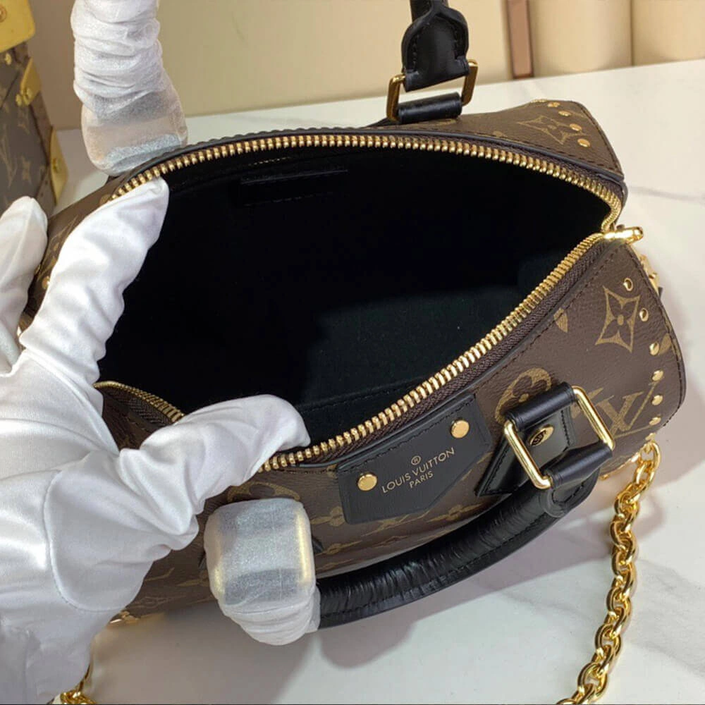 LV Speedy Trunk Chic 386