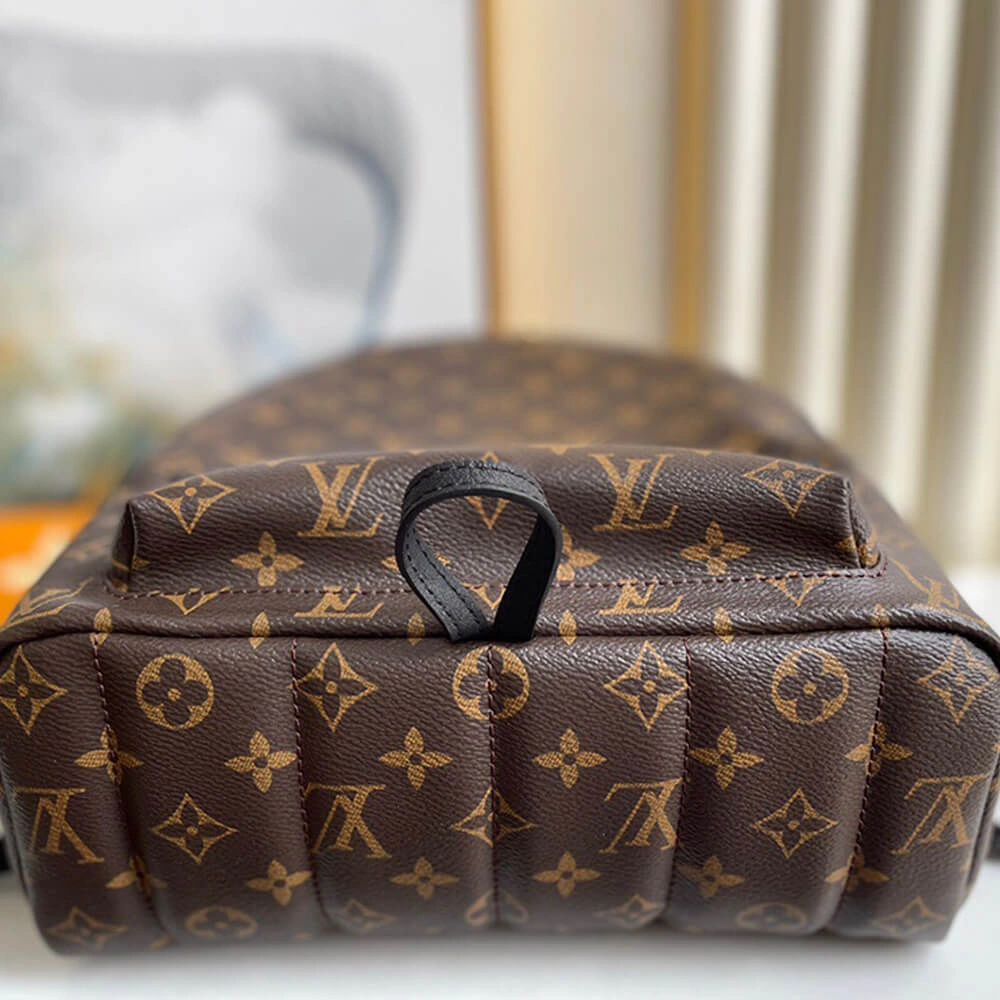 Louis Vuitton PALM SPRINGS MM Resilient 628