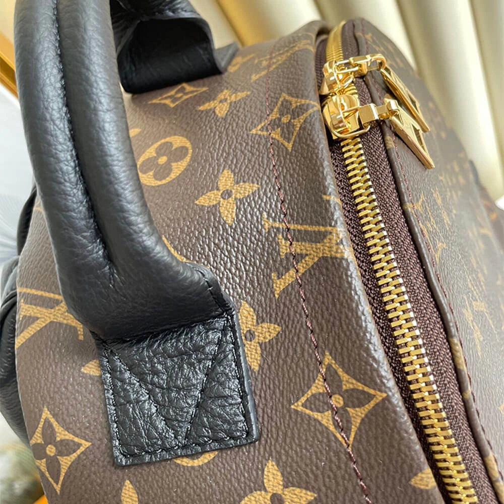Louis Vuitton PALM SPRINGS MM Resilient 628