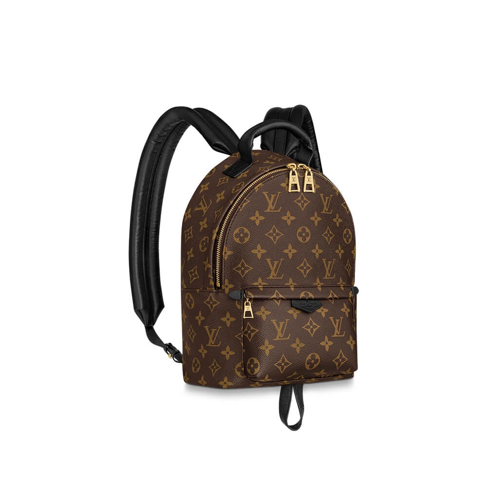 Louis Vuitton PALM SPRINGS PM Comfortable 627