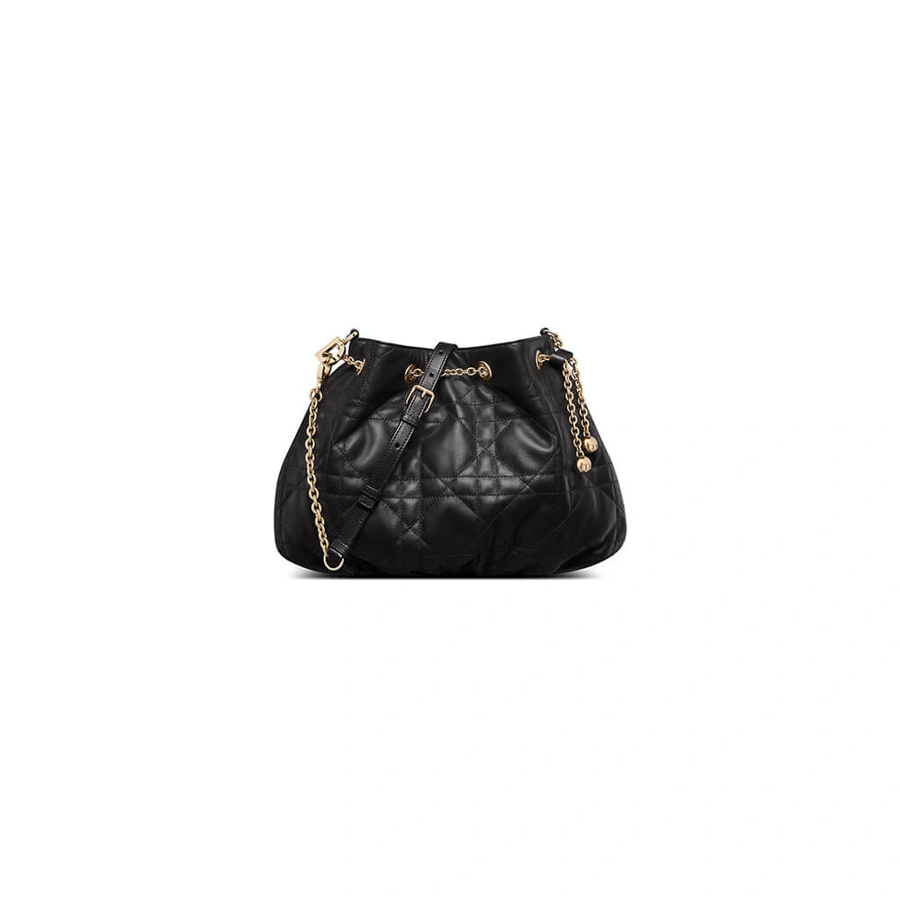 MEDIUM DIOR AMMI BAG StreetReady 2263