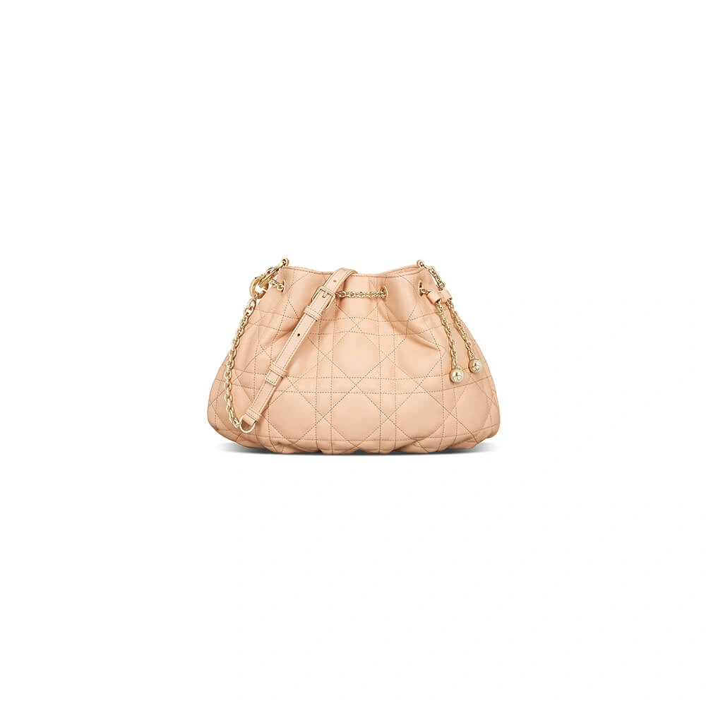 MEDIUM DIOR AMMI BAG AllSeason 2264