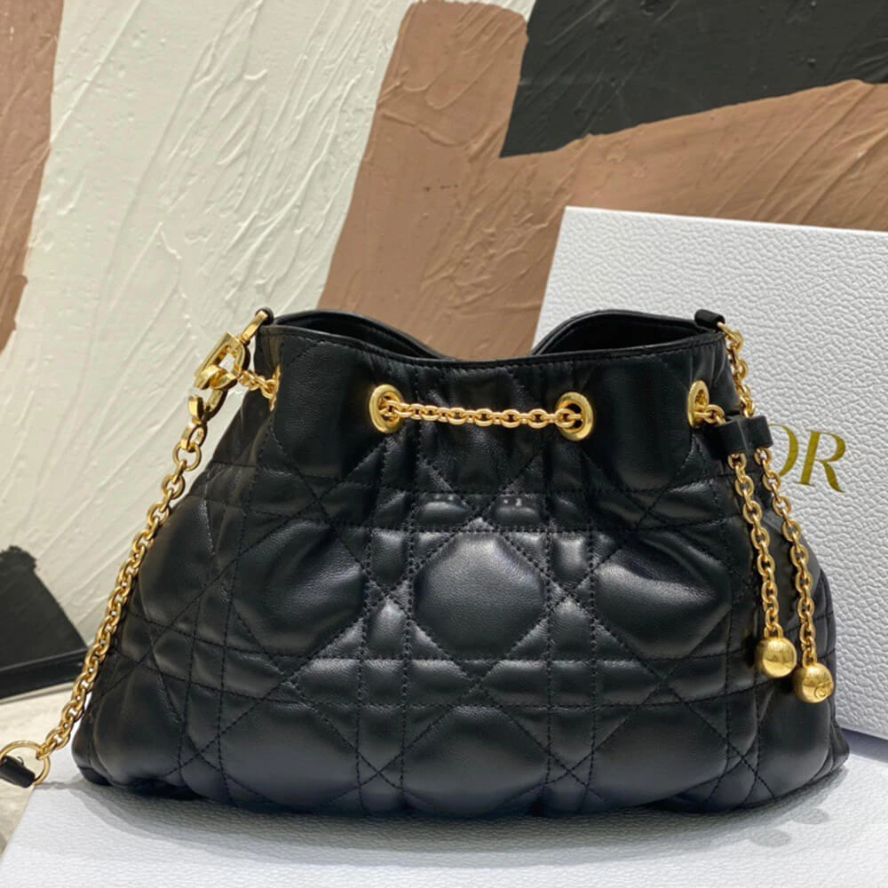MEDIUM DIOR AMMI BAG StreetReady 2263