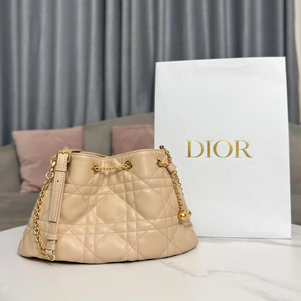 MEDIUM DIOR AMMI BAG AllSeason 2264