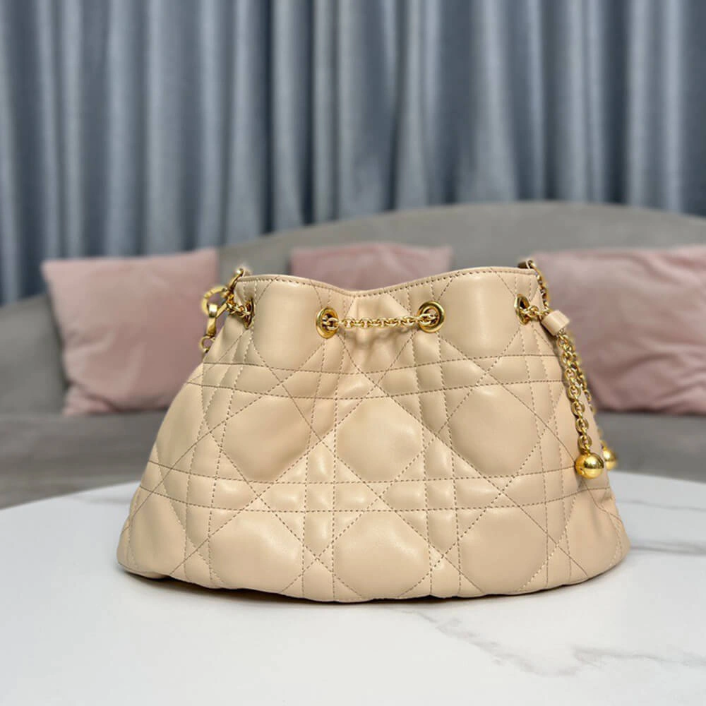 MEDIUM DIOR AMMI BAG AllSeason 2264