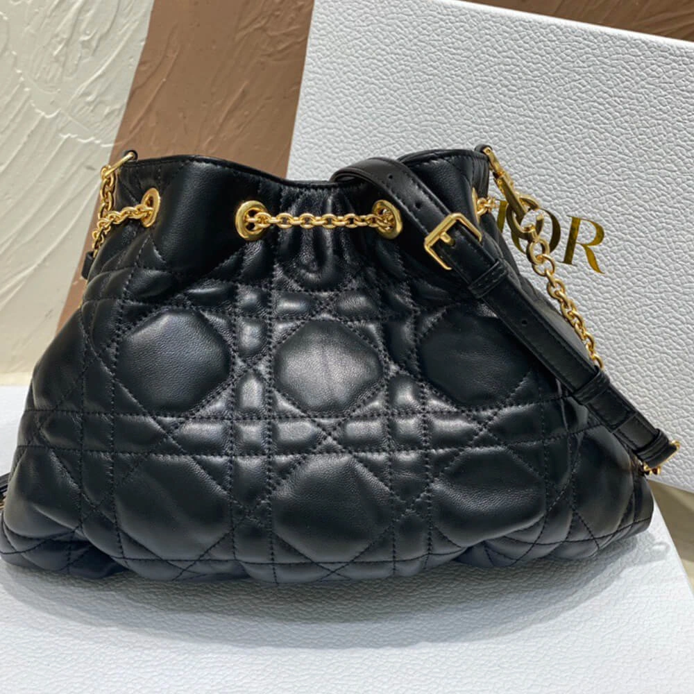 MEDIUM DIOR AMMI BAG StreetReady 2263