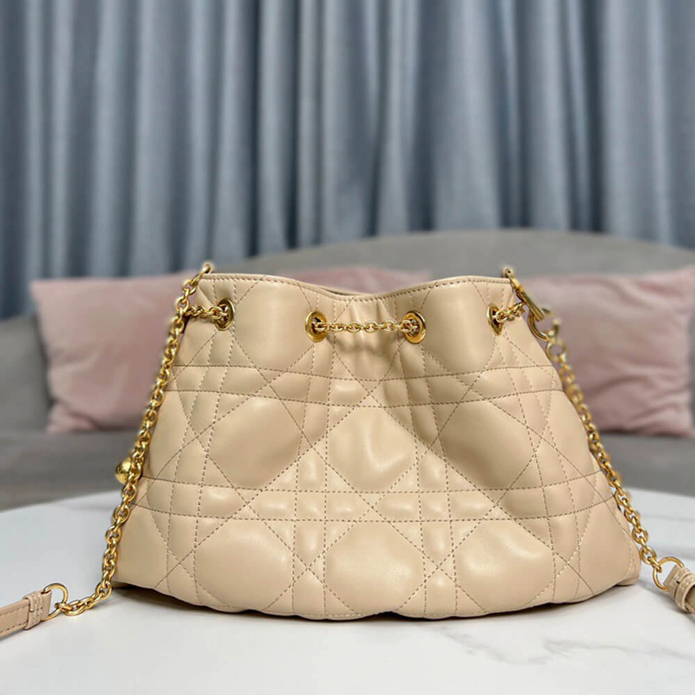 MEDIUM DIOR AMMI BAG AllSeason 2264