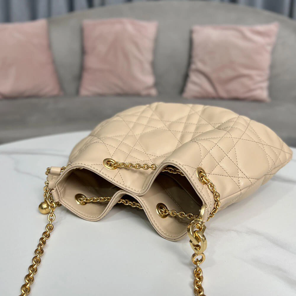 MEDIUM DIOR AMMI BAG AllSeason 2264