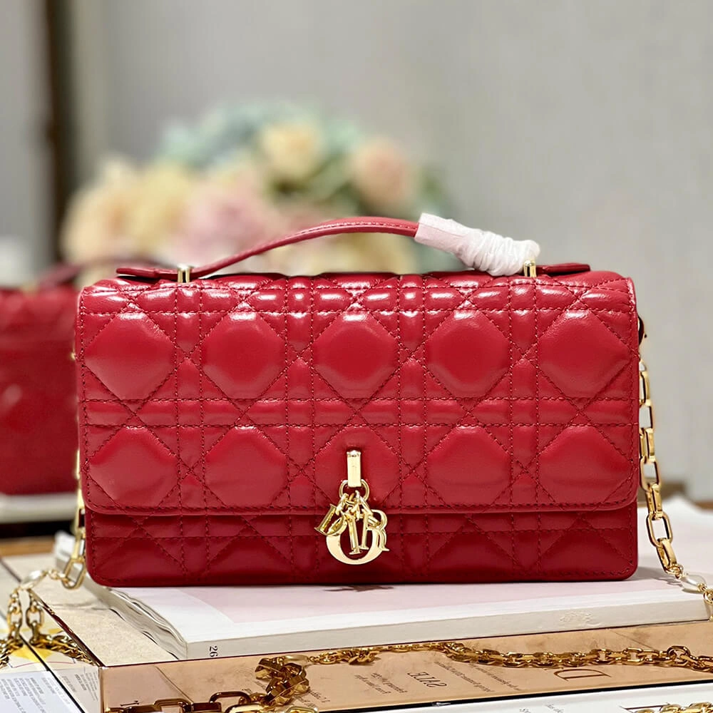 MISS DIOR MINI BAG Unisex 2284