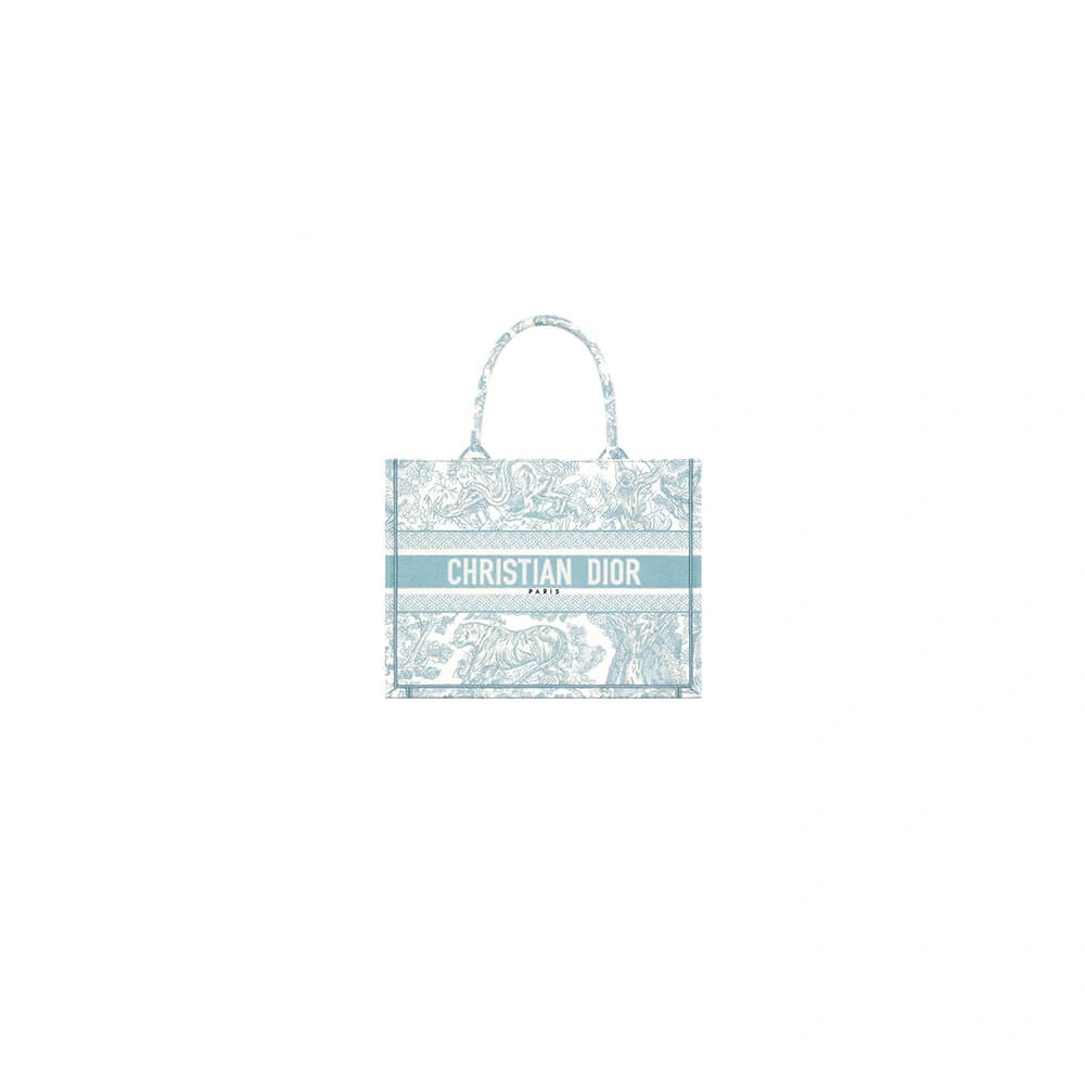 Casual Medium Dior Book Tote 2051