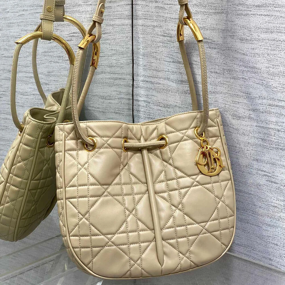 Medium Dior Nolita Bag(HIGH-END GRADE) Vibrant 2387