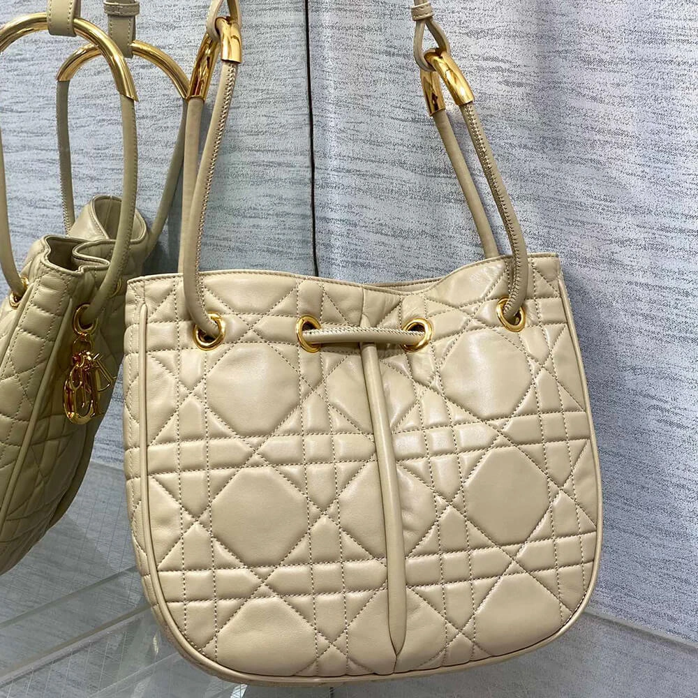 Medium Dior Nolita Bag(HIGH-END GRADE) Vibrant 2387