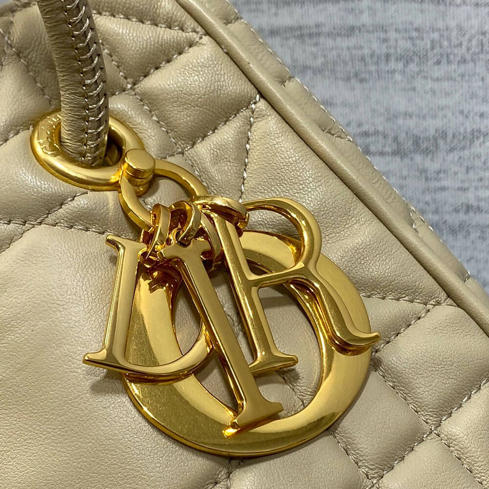 Medium Dior Nolita Bag(HIGH-END GRADE) Vibrant 2387