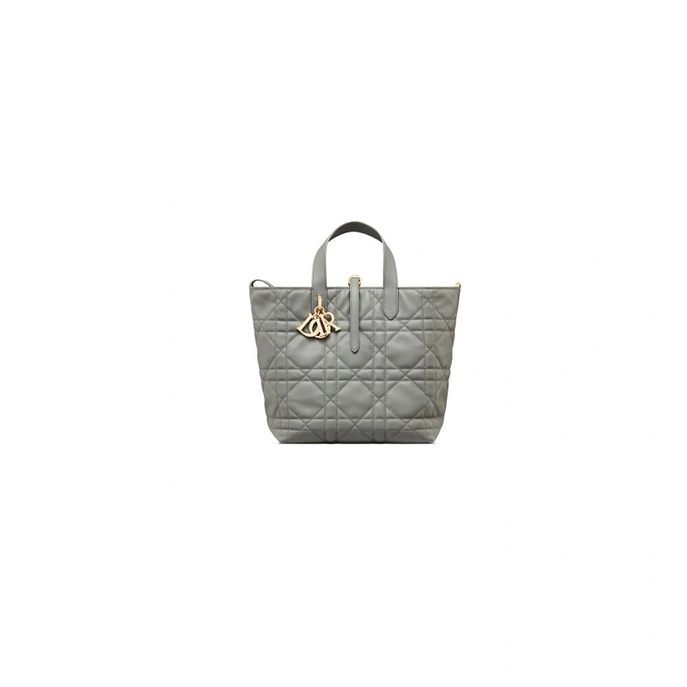 Flexible Medium Dior Toujours Vertical Tote Bag(high-end grade) 2389
