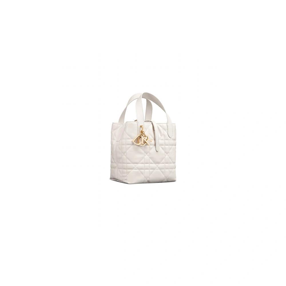 Medium Dior Toujours Vertical Tote Bag(high-end grade) NewStyle 2377