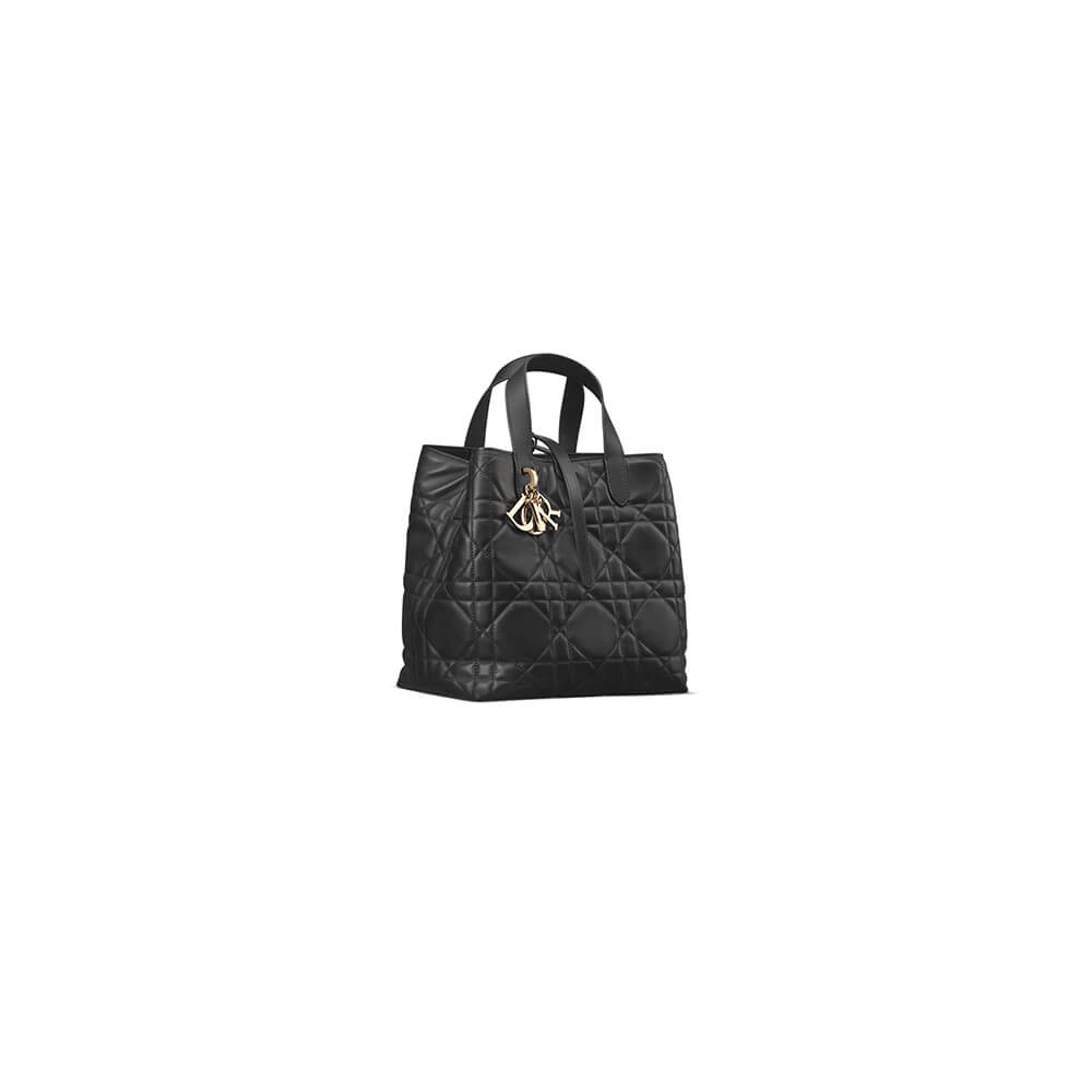 Medium Dior Toujours Vertical Tote Bag(high-end grade) Practical 2386