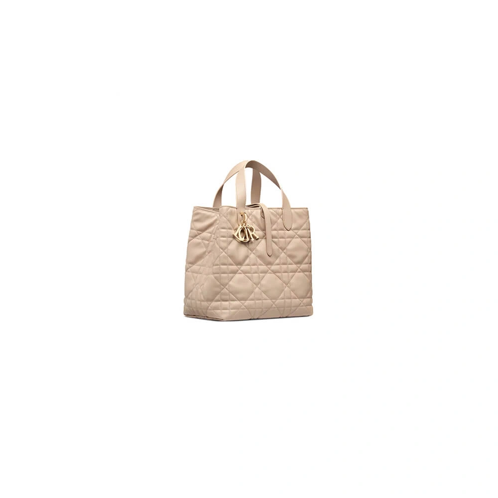 Medium Dior Toujours Vertical Tote Bag(high-end grade) Comfortable 2376