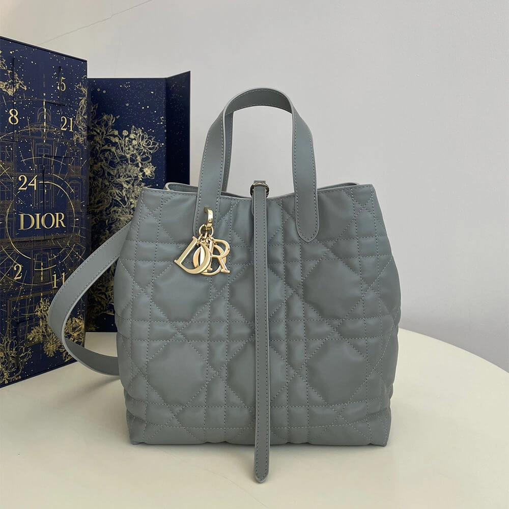 Flexible Medium Dior Toujours Vertical Tote Bag(high-end grade) 2389