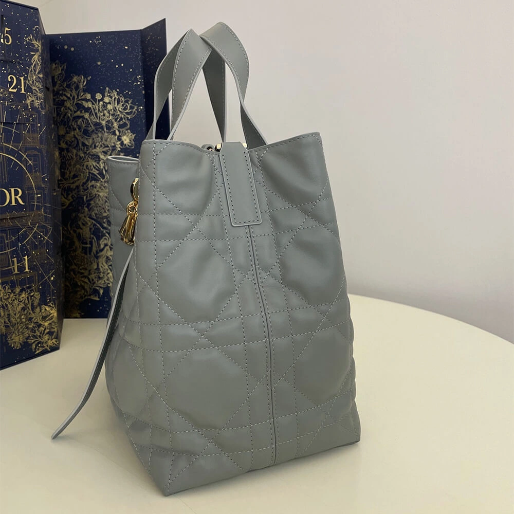 Flexible Medium Dior Toujours Vertical Tote Bag(high-end grade) 2389