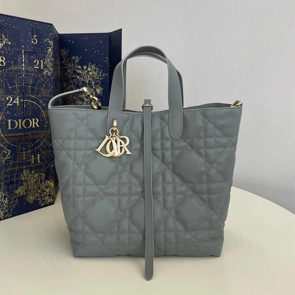 Flexible Medium Dior Toujours Vertical Tote Bag(high-end grade) 2389