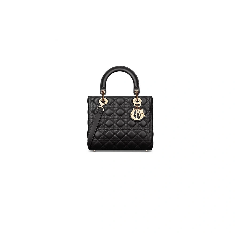 Medium Lady Dior Bag Practical 2314