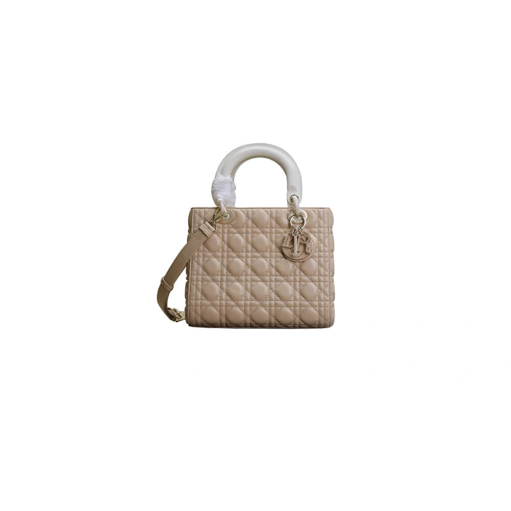 Sustainable Medium Lady Dior Bag 2311