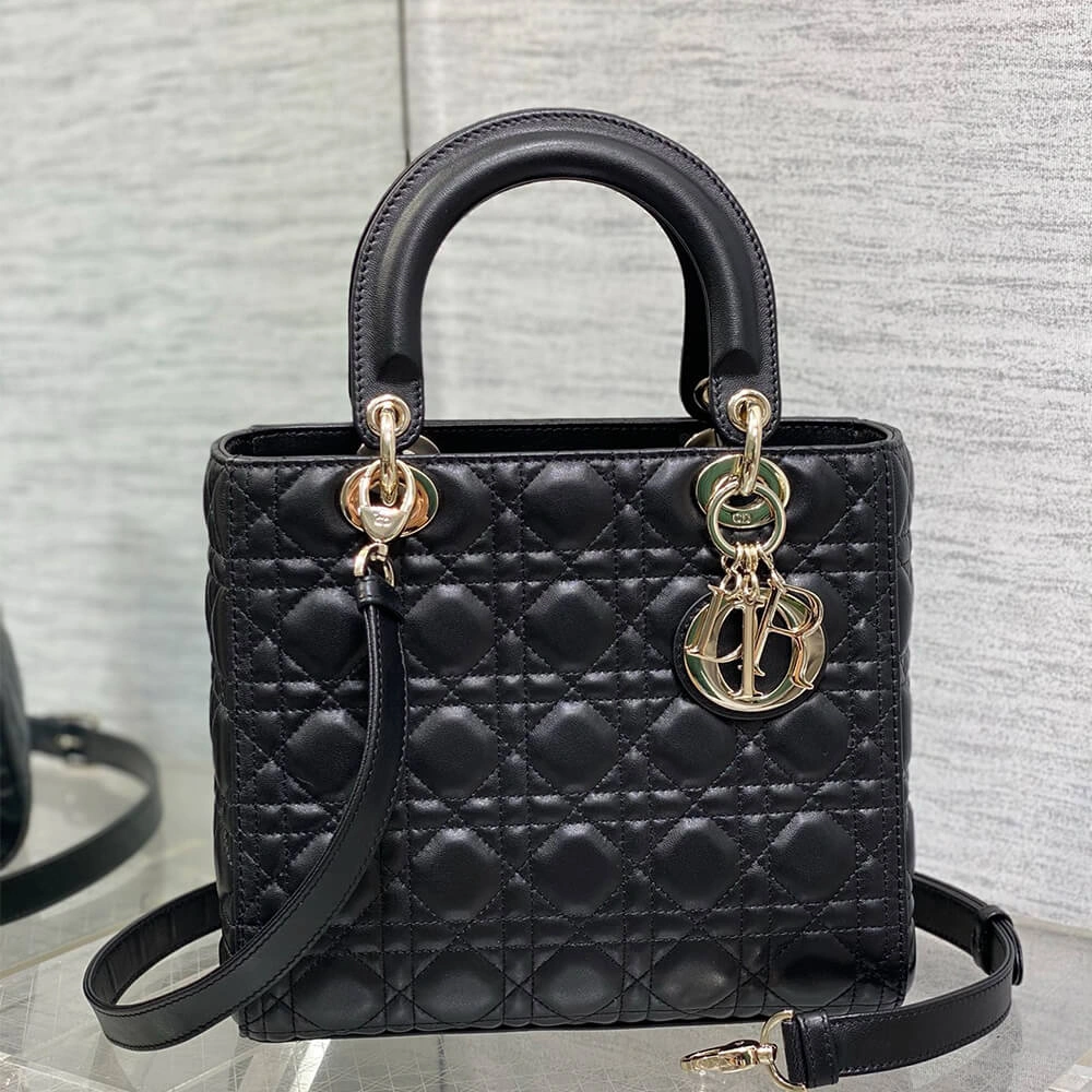 Medium Lady Dior Bag Practical 2314