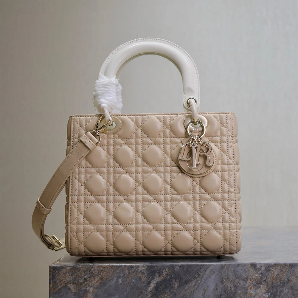 Sustainable Medium Lady Dior Bag 2311